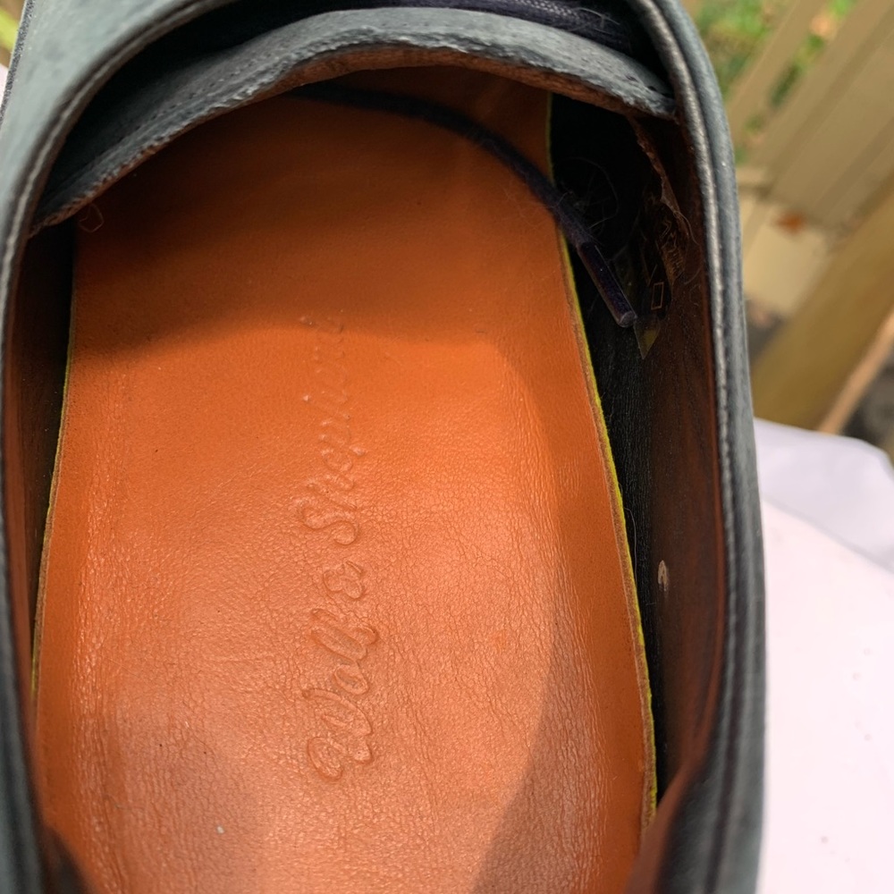 Wolf & Shepard Crossover Longwing Blue Shoe - Picture 15 of 17